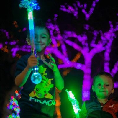 Zoolights.jpg